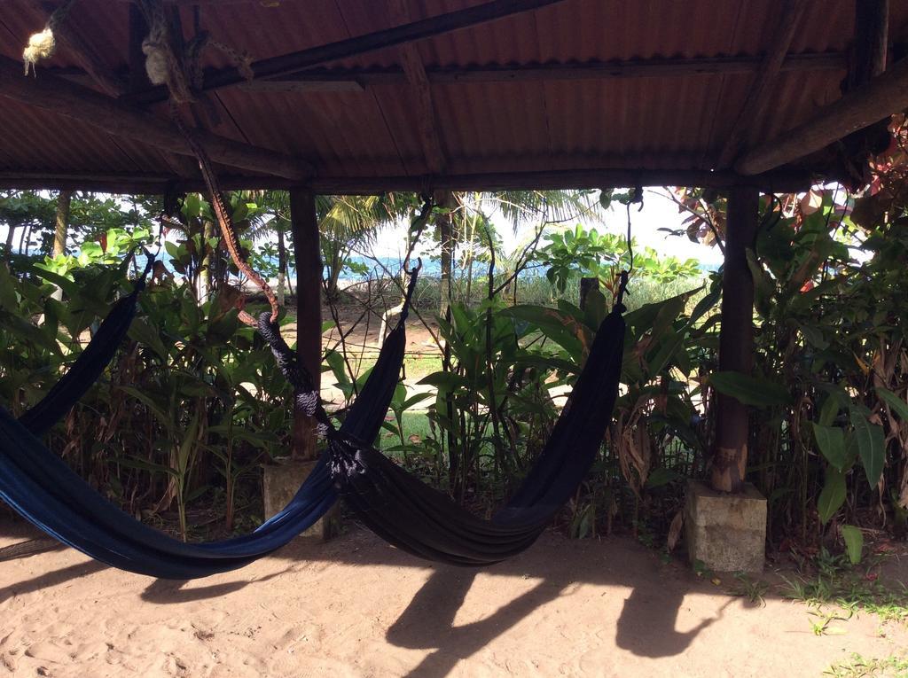 Cabinas Balcon Del Mar Tortuguero Exteriör bild